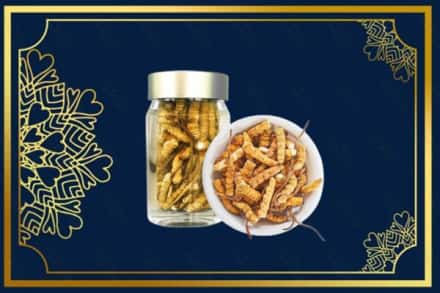 丽水市缙云回收散虫草